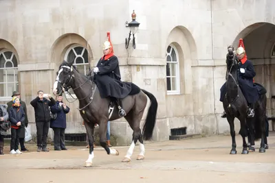 DSC_5594 (Large).JPG